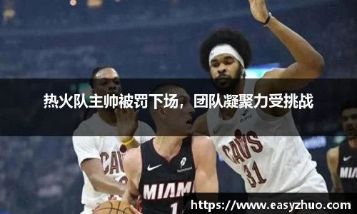 热火队主帅被罚下场，团队凝聚力受挑战